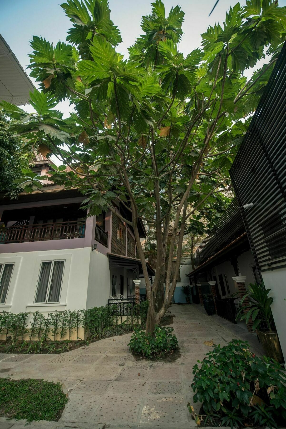 Lavender Angkor Boutique Hotel Siem Reap Ngoại thất bức ảnh